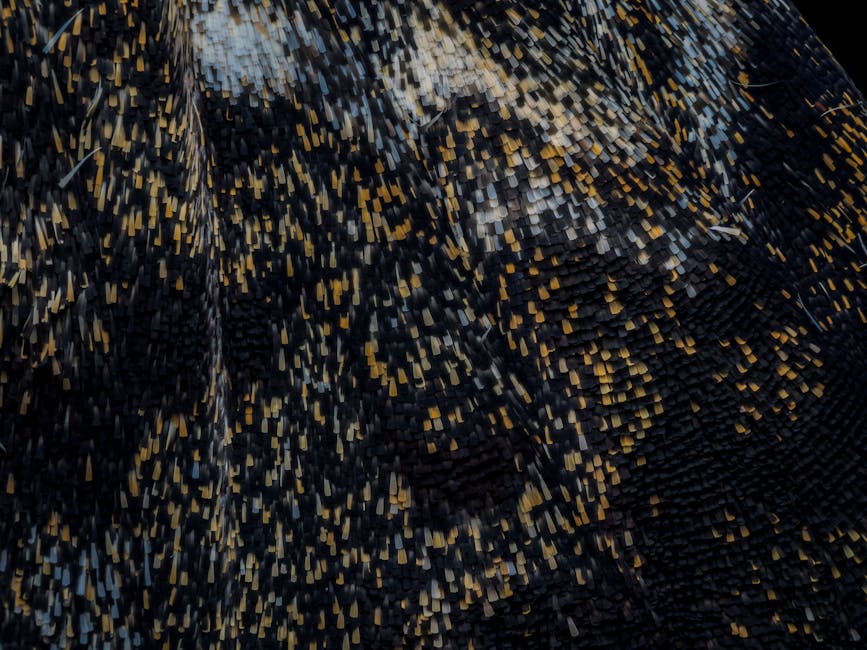 أضف لمسة من الأناقة إلى مواقف سياراتك مع الأسفلت الملون