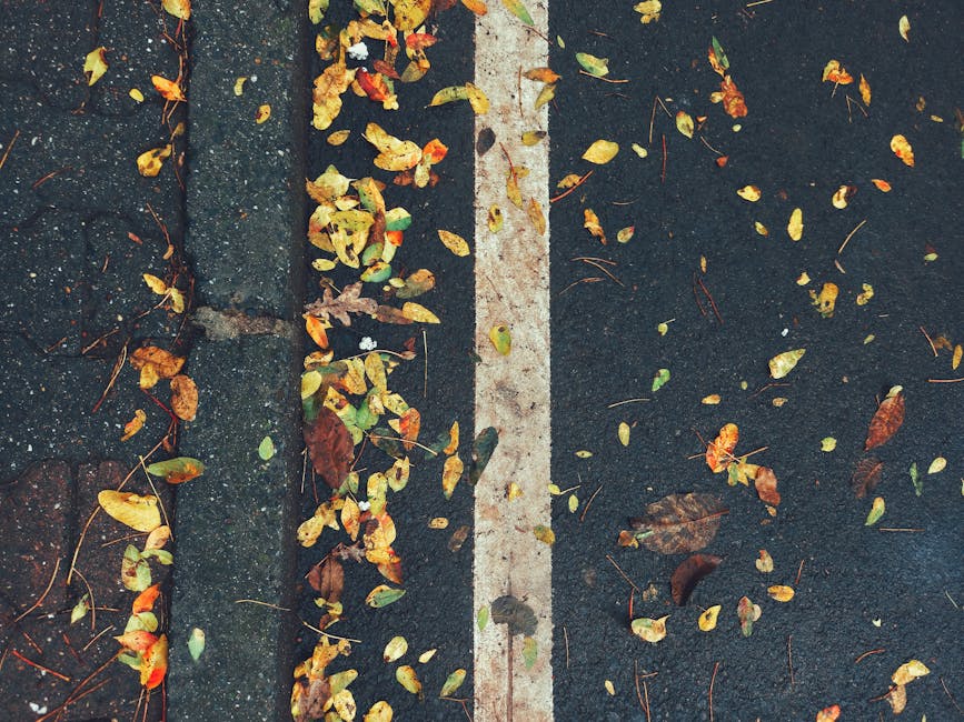 خدمات رصف مواقف السيارات في أنقرة: تميز مع خيارات ملونة