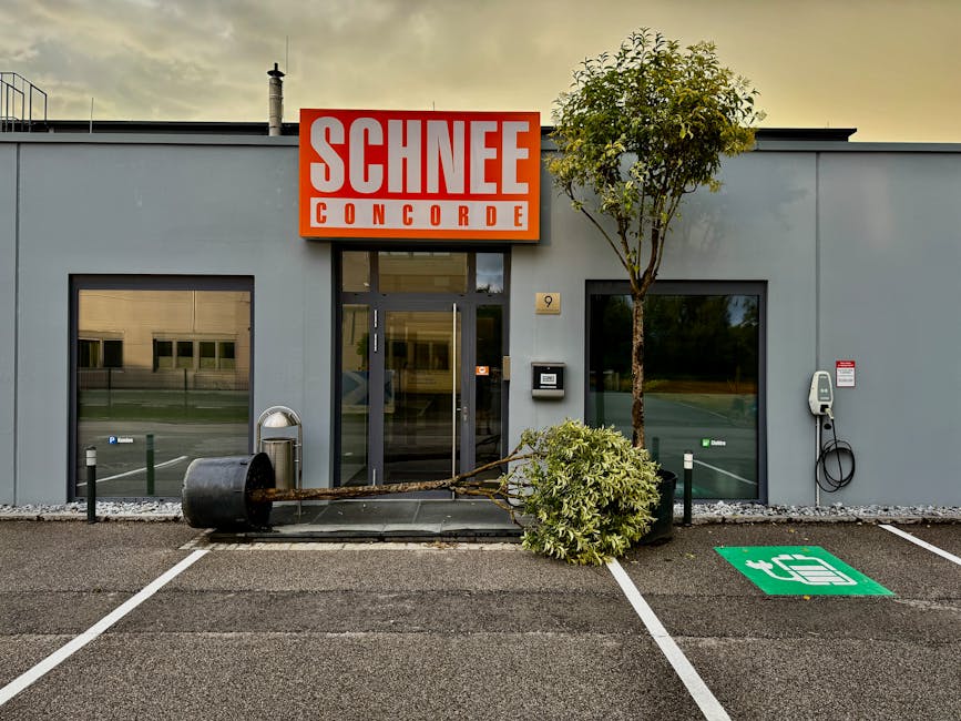 النهج المبتكرة في تطبيقات الأسفلت: المجالات الخاصة والتسعير