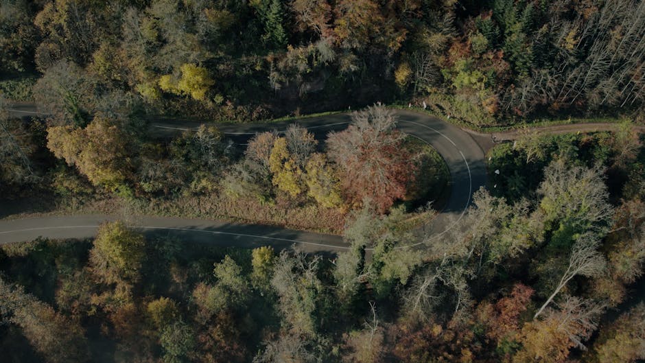 الغوص في أعماق أسعار الأسفلت: من سيقوم ببناء الطرق؟