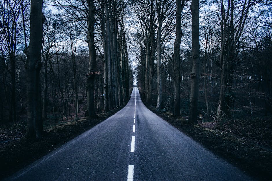 2026 تطبيقات الأسفلت: طرق جديدة وفرص