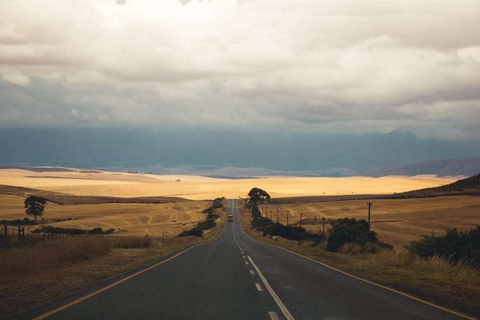 شركات الأسفلت الخاصة: الخبراء الذين يبنون مستقبل الطرق