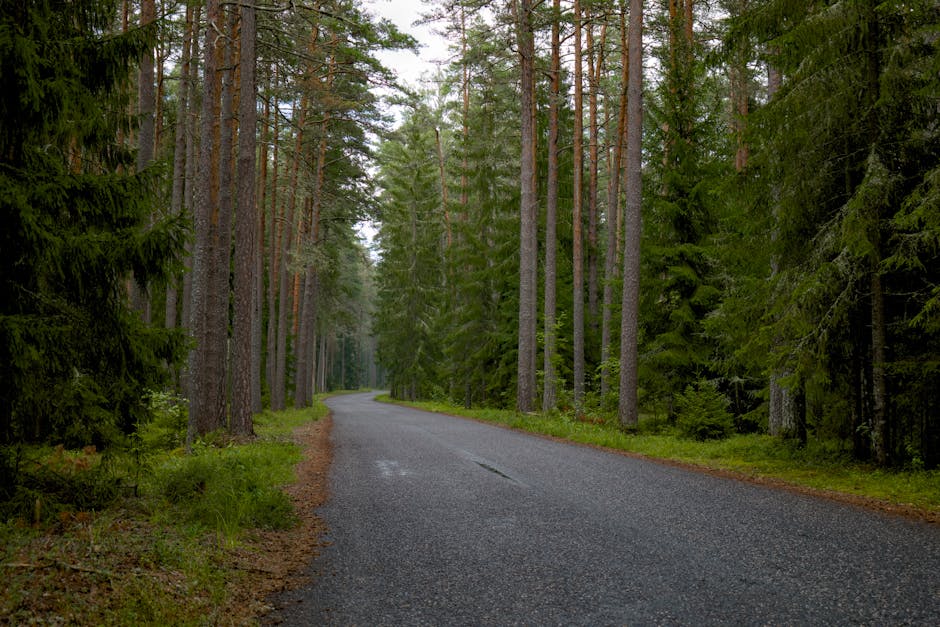 طرق المدينة: من المسؤول وما هي التكاليف؟